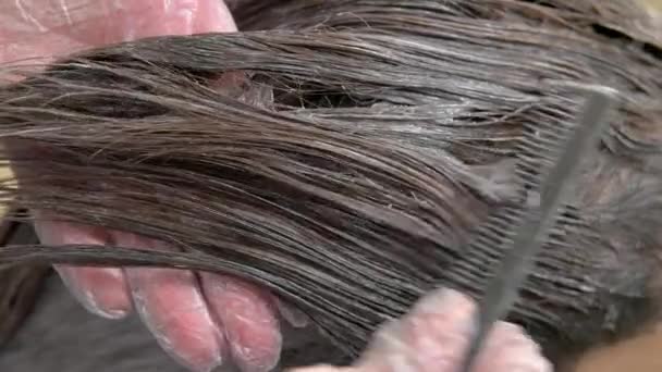미용사의 거무스름 한 손으로 머리를 자르는 과정 — 비디오