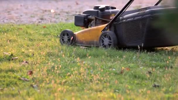 Lawn mower in motion green grass — Stock Video