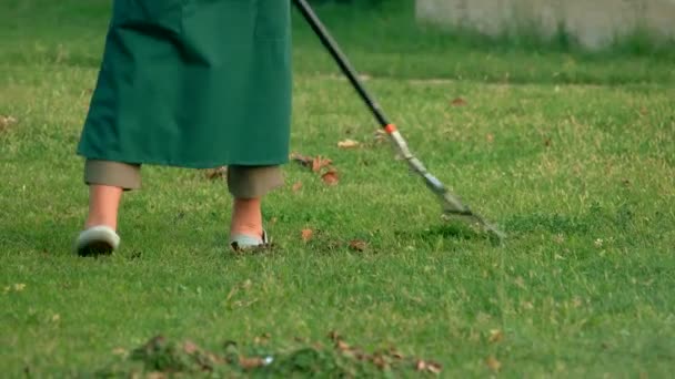 Legs of gardener and rake green grass and dry leaves fall — Stock Video