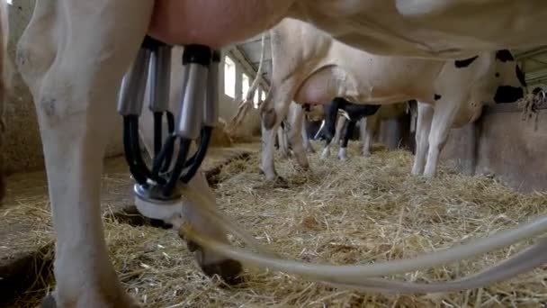 침대보에 놓여 있는 우유짜는 기계 — 비디오