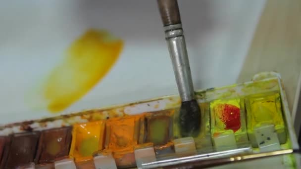 Målaren väljer färgpaletten konstnären arbetar med färger — Stockvideo