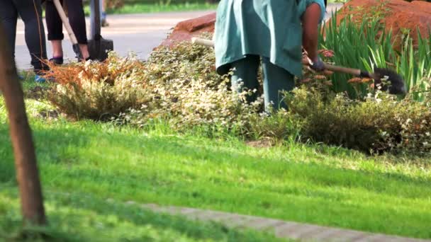 Personas cavando en el jardín en el parque público — Vídeos de Stock