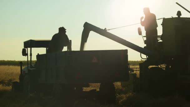 Wlanie ziarna kukurydzy do przyczepy ciągnika po zbiorach — Wideo stockowe