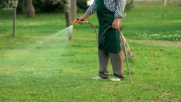 Starszy mężczyzna trzymając węża wodnego ogrodnik spacery po trawie — Wideo stockowe