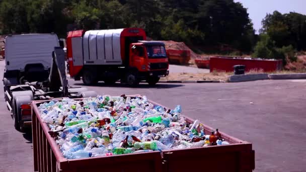 Specie per il riciclaggio di bottiglie di plastica ordinate nel retro del camion — Video Stock