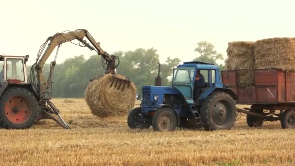 Traktor arbetar på fältet traktor lyfta upp och vika hö — Stockvideo
