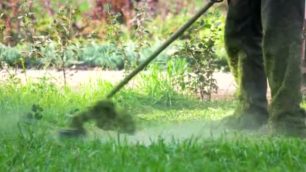 Travailleur couper l'herbe dans le jardin — Video