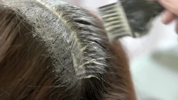 Hair dying process close up hand brush and hair dye — Stock Video