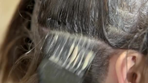 Tinte para el cabello macro salón de belleza de cabello femenino — Vídeo de stock