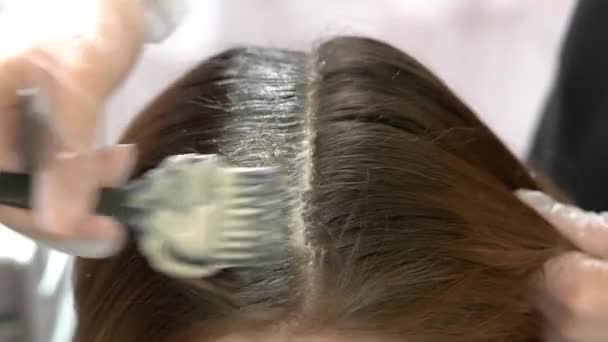 Hands of beautician dying hair brush applies hair color — Stock Video