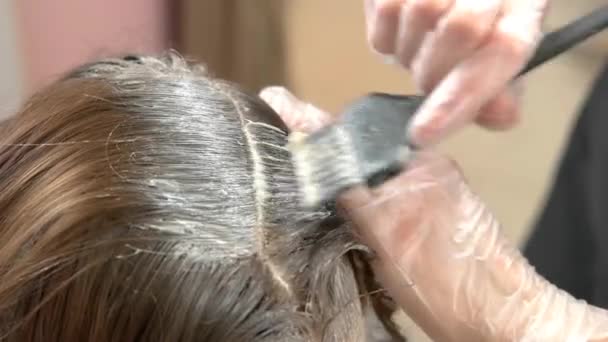 붓으로 머리를 염색하는 과정에서 죽어 가는 손 — 비디오