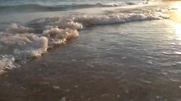 Beautiful gentle waves on the shore marine summer background — Stock Video