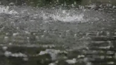 Yağmur damlaları yağmur birikintilerini vurur