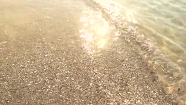 きれいな海水と太陽光小さな波が楽園の動きの一部で — ストック動画