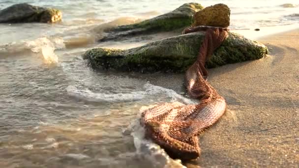 Jaring ikan di pantai air laut di mo lambat bagaimana untuk bertahan hidup di pulau — Stok Video