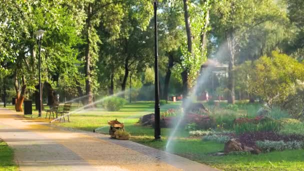 Impianto di irrigazione in città parco prato irrigatore irrigazione acqua — Video Stock