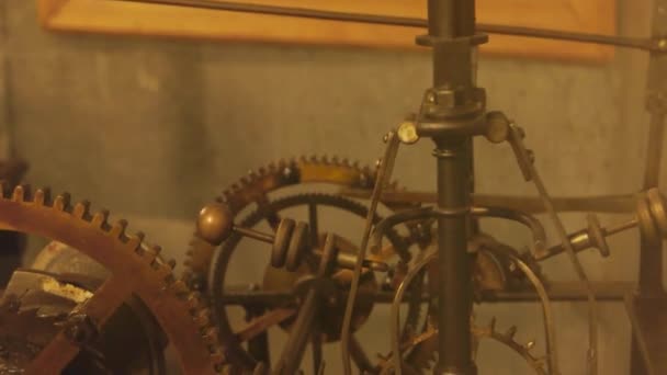 Mecanismo de relógio em movimento pêndulo e rodas dentadas — Vídeo de Stock