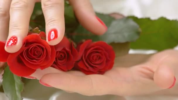 Mano cuidado suavemente acariciar rosas rojas — Vídeo de stock