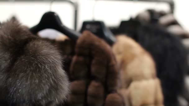 Casacos de vison pendurados na loja vitrine casacos de vison chinchila — Vídeo de Stock