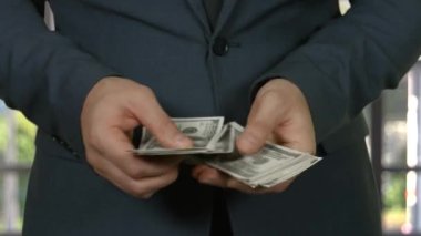 Para ile dolar sayan bir adamın elleri motivasyondur.