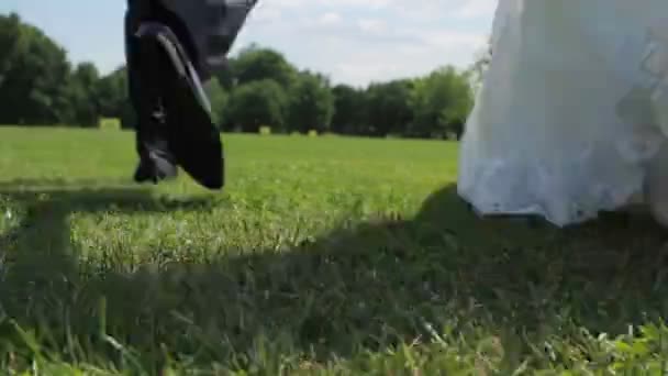花嫁と新郎は芝生の上で手の結婚式を開催実行している新婚旅行をお楽しみください — ストック動画