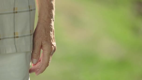 Літня пара тримає руки літніх людей, що стоять на відкритому повітрі — стокове відео