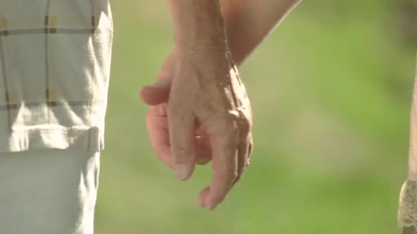 Manos de las personas mayores que mantienen juntos al aire libre el amor y el romance — Vídeos de Stock