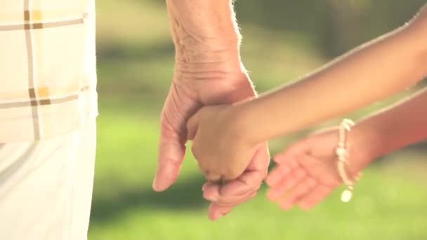 Mała dziewczynka trzyma rękę dziadka z bliska — Wideo stockowe