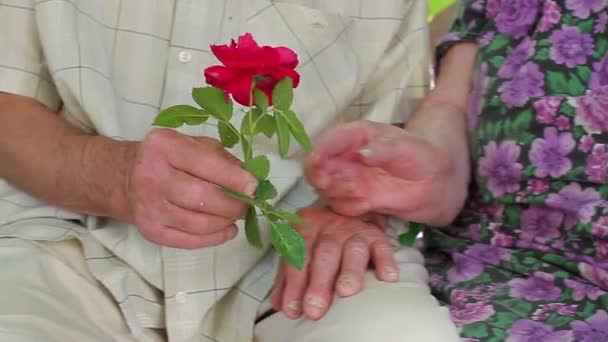 Tangan tua orang tua kakek memberikan mawar neneknya — Stok Video