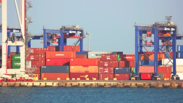 Conteneur dans le port maritime import export et logistique d'affaires — Video