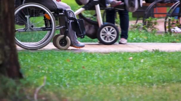 Інваліда штовхає в інвалідне крісло член сім'ї — стокове відео