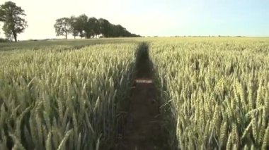 Su kütlesiyle uçsuz bucaksız bir ülke.