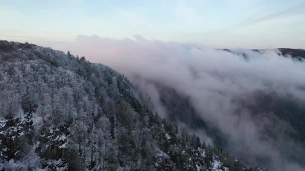 Una formación de nubes que cubre partes de la montaña forestal — Vídeos de Stock