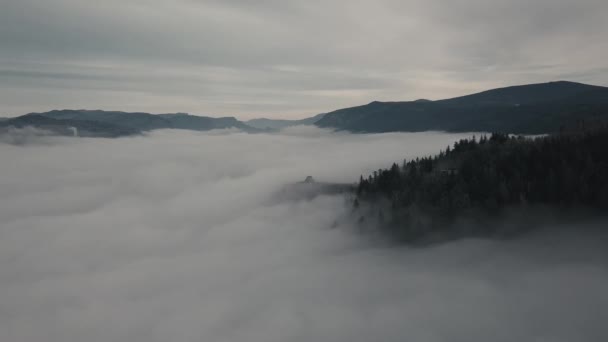 Туманний пейзаж — стокове відео