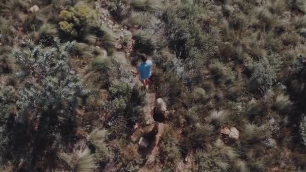 Człowiek wędruje po lesie wędrując szlakiem turystycznym. — Wideo stockowe