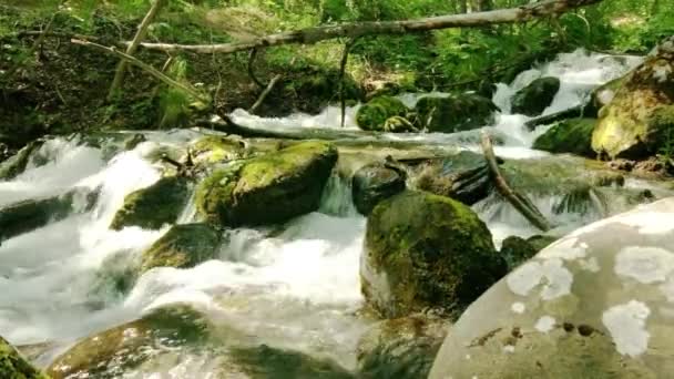 En flod som rinner nerför ett stenblock — Stockvideo