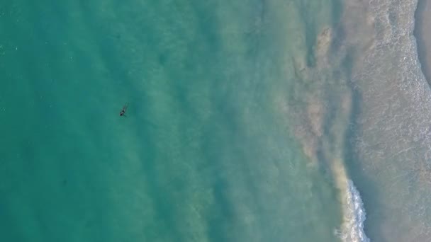 Повітряний постріл жінки плаває — стокове відео
