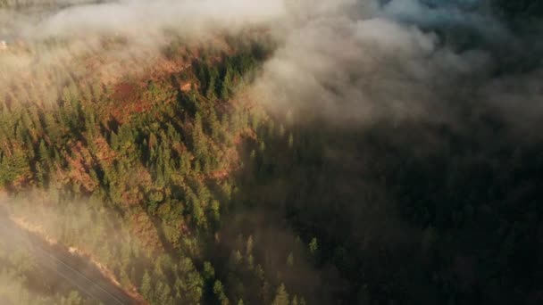 Aerial view of a beautiful landscape — Stock Video