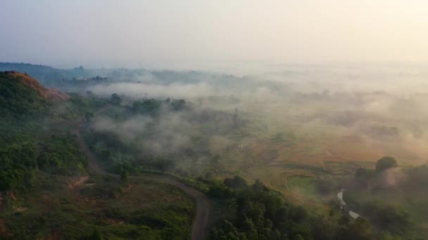 Flygfoto över ett dimmigt landskap — Stockvideo
