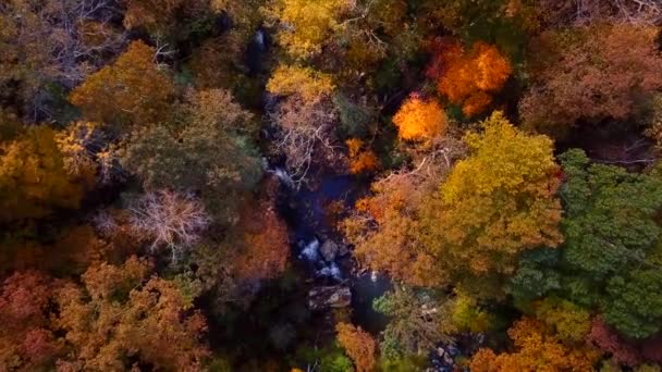 Осінній фонтан вздовж річки — стокове відео