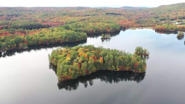 Colores cambiantes de un bosque de montaña en otoño — Vídeo de stock