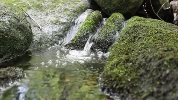 Klares Wasser fließt moosbewachsene Felsen hinunter — Stockvideo