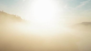 Sisli bir dağ ormanının insansız hava aracı görüntüleri