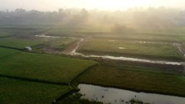 Sabahın erken saatlerinde bir çiftçi topluluğunun drone görüntüleri.