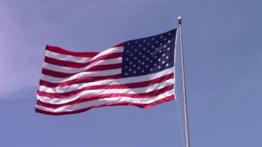 Orman çiçeğinin alevi