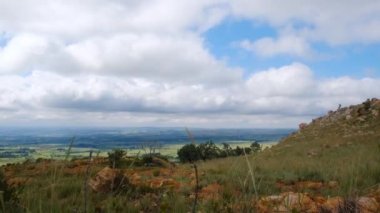 Mavi ve bulutlu gökyüzünün altında yeşil alanlar
