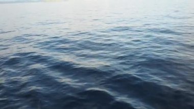 Denizdeki adalar