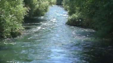 Güçlü akıntıya sahip nehir