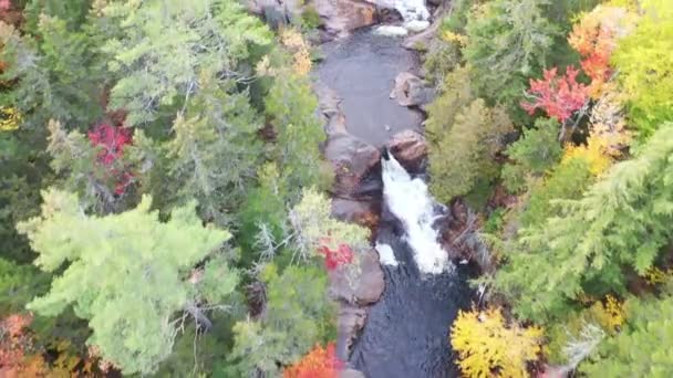 Images de drones d'une rivière entourée d'arbres aux couleurs automnales — Video