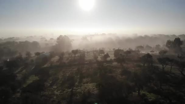 Imágenes de drones de nieblas cubriendo el suelo temprano en la mañana — Vídeos de Stock